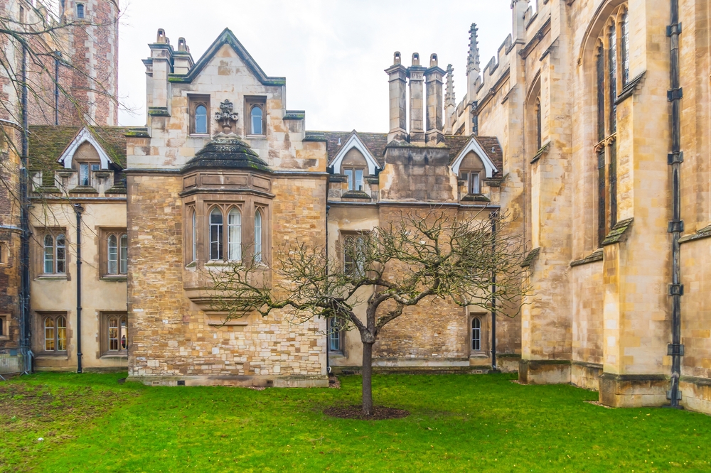 Newton’s famous apple tree at Cambridge.